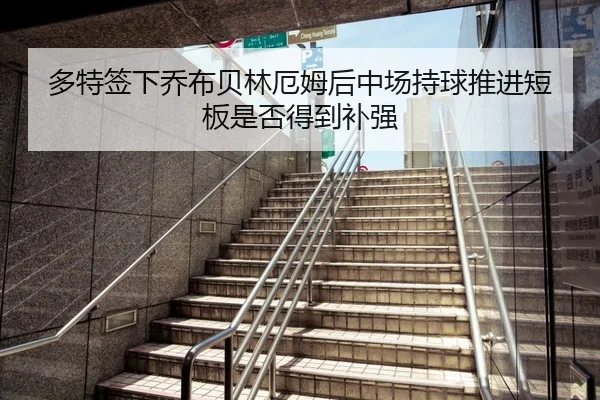 多特签下乔布贝林厄姆后中场持球推进短板是否得到补强