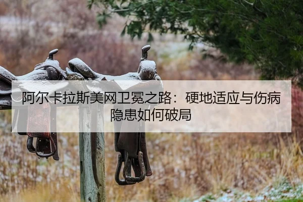 a-er-ka-la-si-mei-wang-wei-mian-zhi-lu-ying-di-shi-ying-yu-shang-bing-yin-huan-ru-he-po-ju-2-352.jpg
