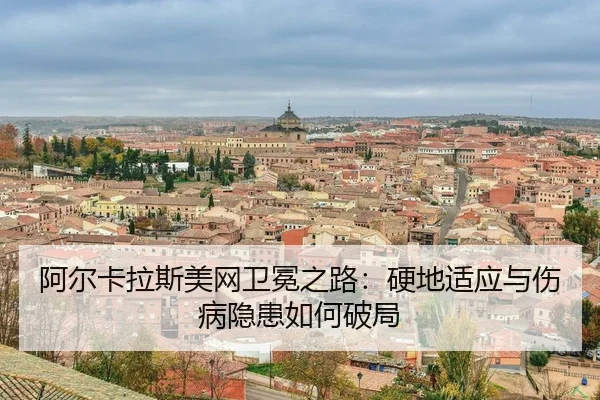 a-er-ka-la-si-mei-wang-wei-mian-zhi-lu-ying-di-shi-ying-yu-shang-bing-yin-huan-ru-he-po-ju-3-944.jpg