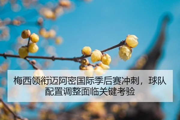 mei-xi-ling-xian-mai-a-mi-guo-ji-ji-hou-sai-chong-ci-qiu-dui-pei-zhi-tiao-zheng-mian-lin-guan-jian-kao-yan-2-951.jpg