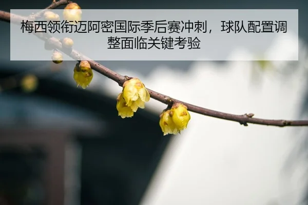 mei-xi-ling-xian-mai-a-mi-guo-ji-ji-hou-sai-chong-ci-qiu-dui-pei-zhi-tiao-zheng-mian-lin-guan-jian-kao-yan-3-141.jpg