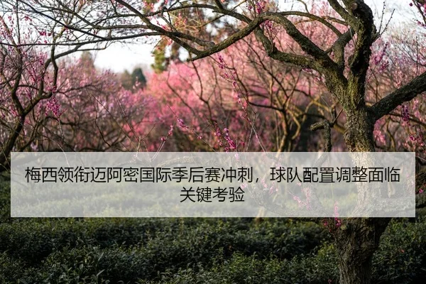 梅西领衔迈阿密国际季后赛冲刺，球队配置调整面临关键考验