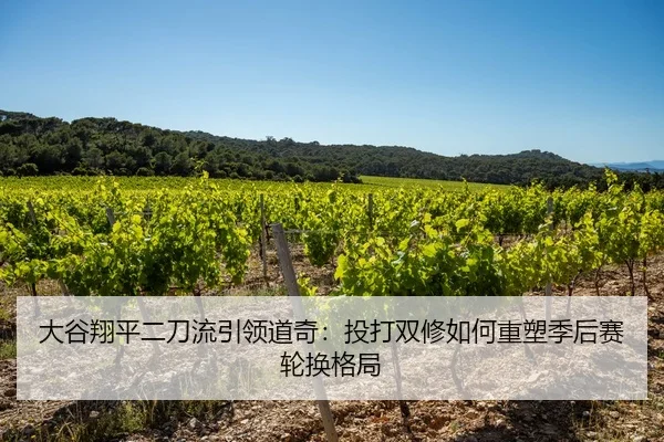 大谷翔平二刀流引领道奇：投打双修如何重塑季后赛轮换格局