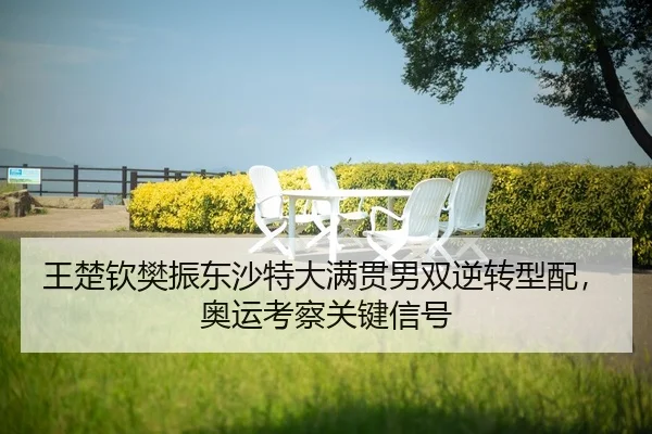 wang-chu-qin-fan-zhen-dong-sha-te-da-man-guan-nan-shuang-ni-zhuan-xing-pei-ao-yun-kao-cha-guan-jian-xin-hao-2-470.jpg