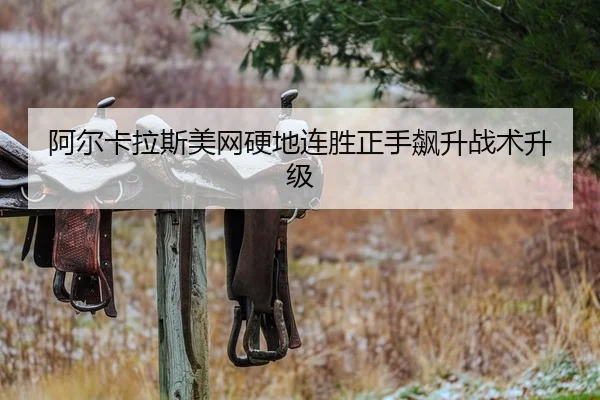 a-er-ka-la-si-mei-wang-ying-di-lian-sheng-zheng-shou-biao-sheng-zhan-shu-sheng-ji-2-561.jpg