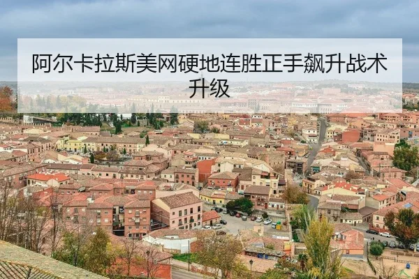 a-er-ka-la-si-mei-wang-ying-di-lian-sheng-zheng-shou-biao-sheng-zhan-shu-sheng-ji-3-259.jpg