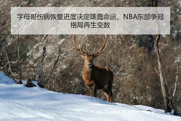 zi-mu-ge-shang-bing-hui-fu-jin-du-jue-ding-xiong-lu-ming-yun-dong-bu-zheng-guan-ge-ju-zai-sheng-bian-shu-3-736.jpg