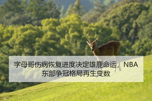 字母哥伤病恢复进度决定雄鹿命运，NBA东部争冠格局再生变数