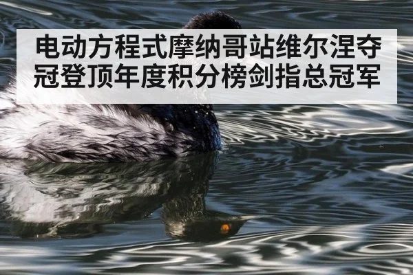 电动方程式摩纳哥站维尔涅夺冠登顶年度积分榜剑指总冠军