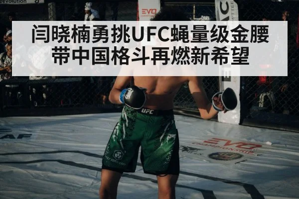 闫晓楠勇挑UFC蝇量级金腰带中国格斗再燃新希望